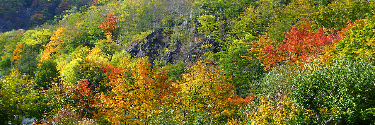 1920_Herbstgebirge.jpg Blick auf eine herbstlich gefärbte Landschaft in der Oberlausitz